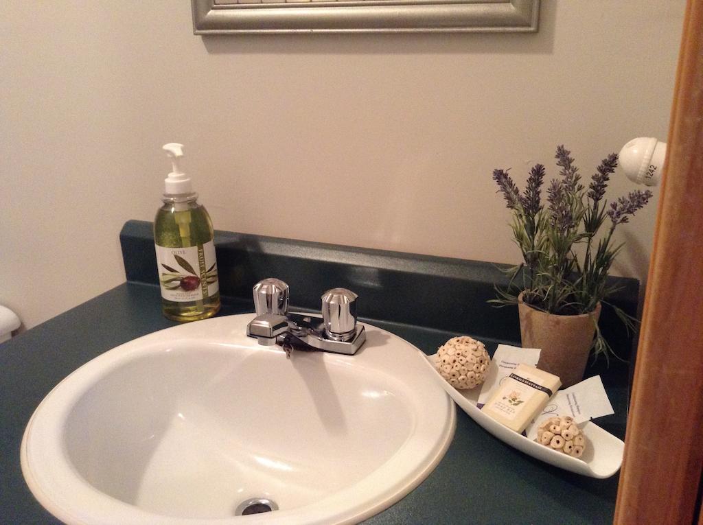Aux Berges Du St-Maurice Hotel Saint-Jean-des Piles Kamer foto
